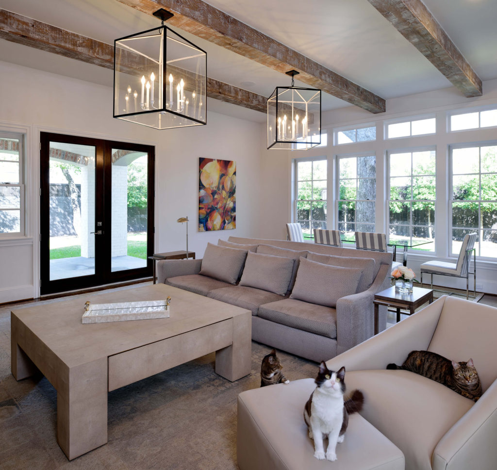 A living room with three cats